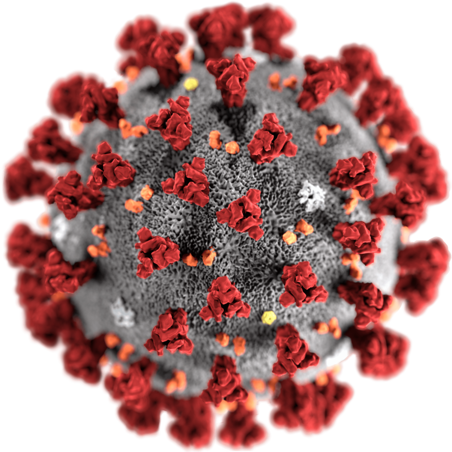 An illustration of the coronavirus, created at the Center for Disease Control, highlights its stark shape. The coronavirus has swept the globe, infecting over 80,000 people. Photo courtesy of PHIL, #23312. Alissa Eckert, MS; Dan Higgins, MAM