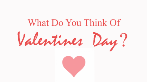 What Do You Think of Valentines Day?