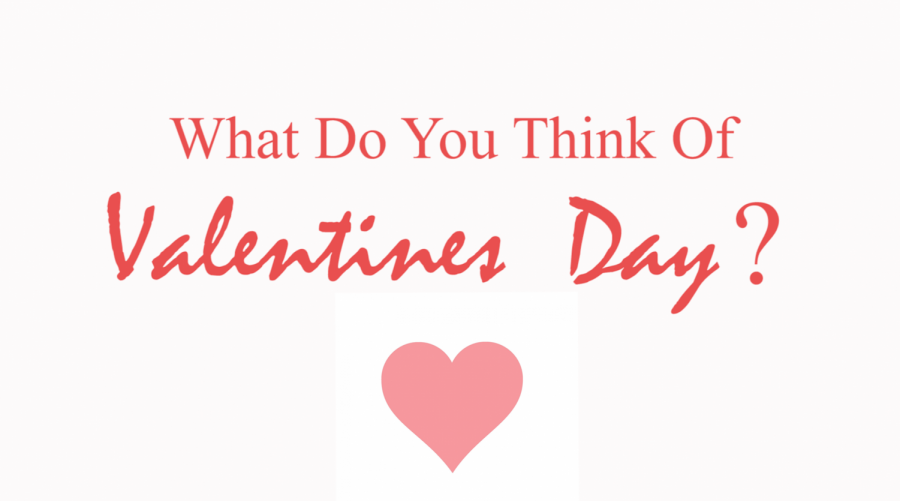 What Do You Think of Valentine's Day?