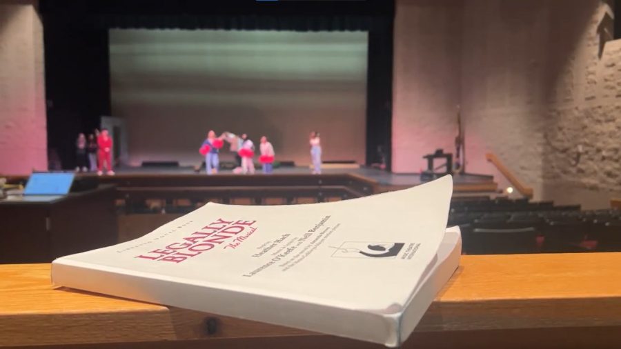 Legally Blonde the Musical!